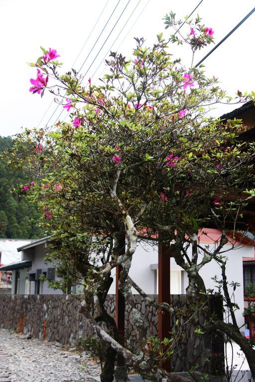 Zhongshan Hostel Fenchihu Exterior photo